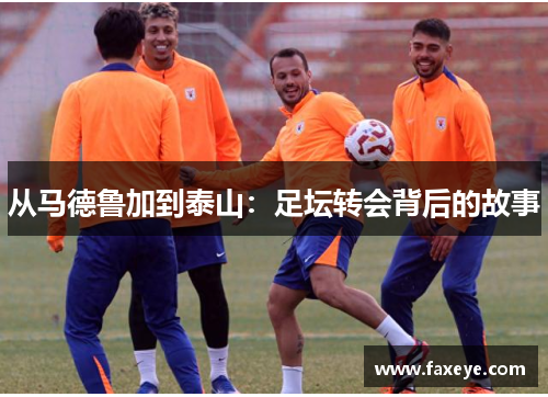 从马德鲁加到泰山：足坛转会背后的故事